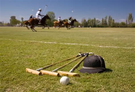 Match de polo