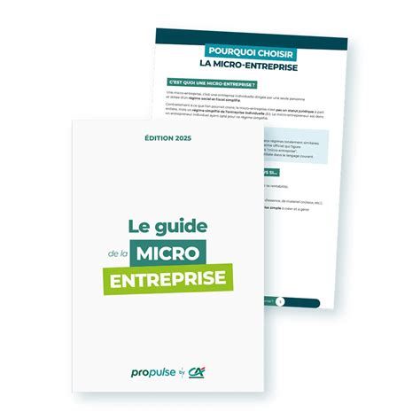 Micro-entreprise de services