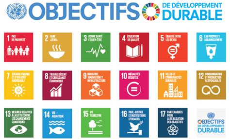Objectifs de développement durable de l'ONU