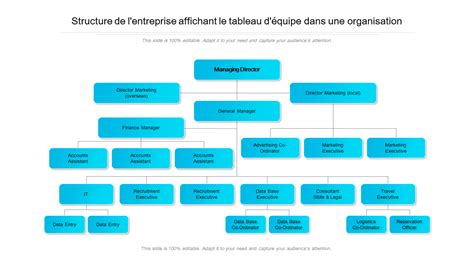 Organisation de l'Entreprise