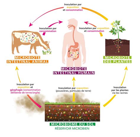 Organismes Impliqués