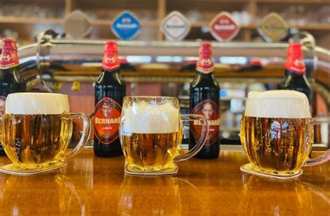 Ouvrir un bar à bière