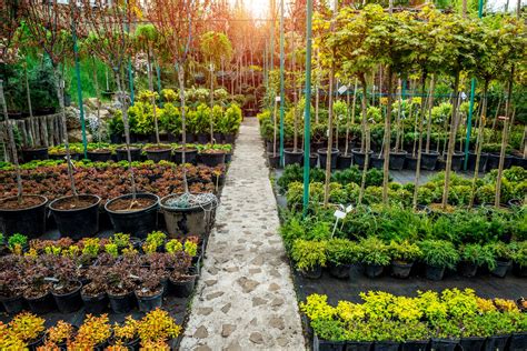 Pépinière Macon Végétaux