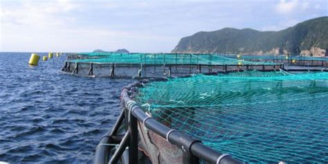 Pêche et Aquaculture