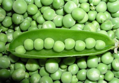 PEA