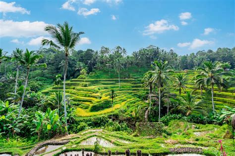 Paysage de Bali