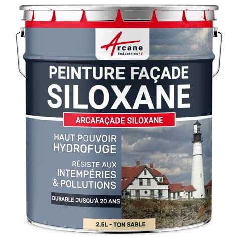 Peinture siloxane