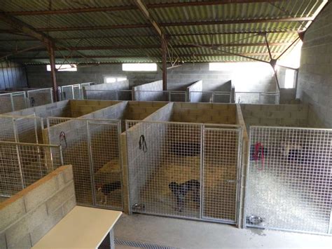 Pension pour animaux