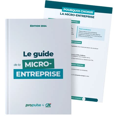 Plafonds de chiffre d’affaires en micro-entreprise (article 50-O du Code général des impôts - CGI)