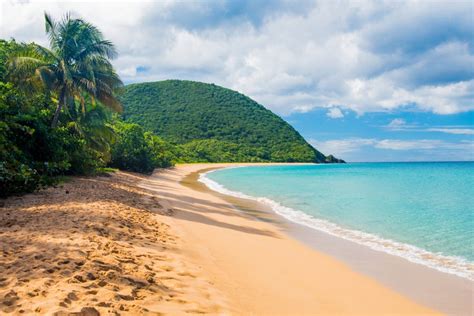 Plage de Grande Anse, Guadeloupe