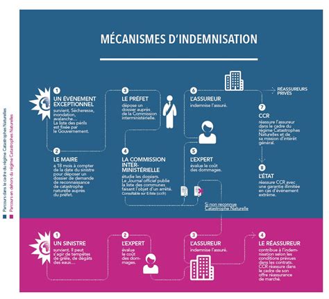 Processus d'Indemnisation Assurance Habitation