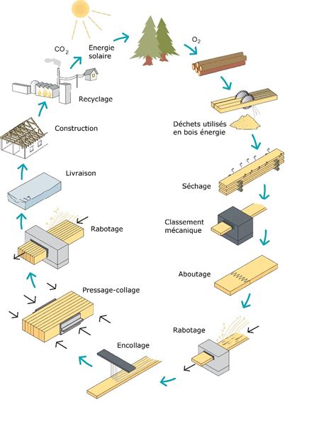 Processus de fabrication du bois