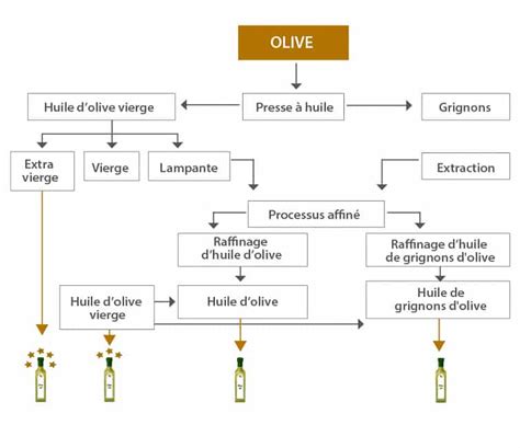 Processus de production d'huile d'olive