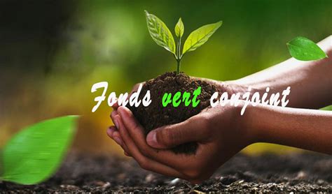 Projet de reboisement