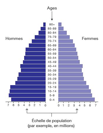 Pyramide des âges