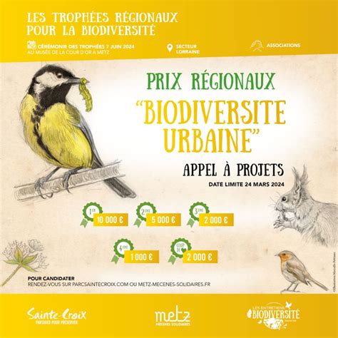 Récompenser les initiatives