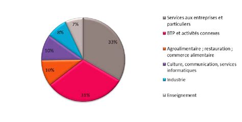 Répartition sectorielle des micro-entreprises