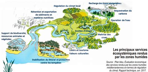 Restauration écologique d'une rivière