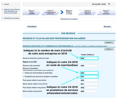 Revenu Auto-Entrepreneur