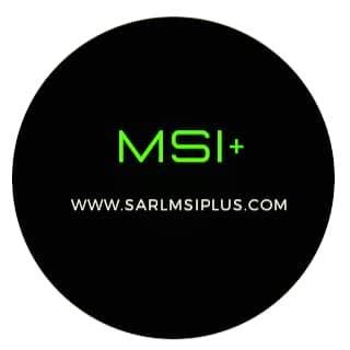 SARL MSI EXPLOITATION
