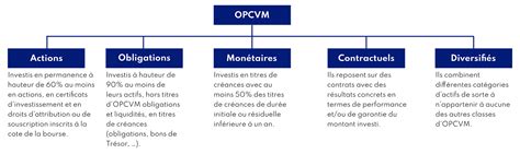 SICAV Monétaire : Fonctionnement et Avantages