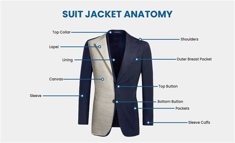 Sartorial diagram of a suit jacket
