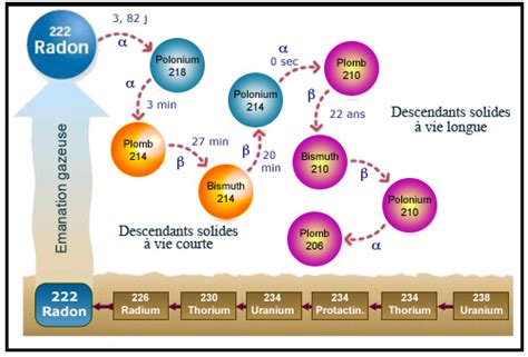 Schéma de désintégration du Radon