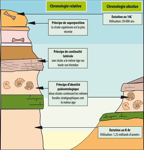 Schéma de la stratigraphie d’un décor en cuir doré