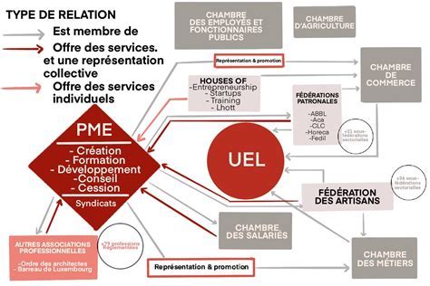 Schéma des différents types de PME selon l'actionnariat