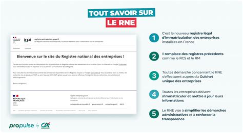 Schéma du Registre National des Entreprises (RNE)