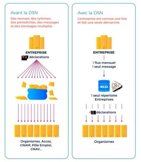 Schéma explicatif de la DSN