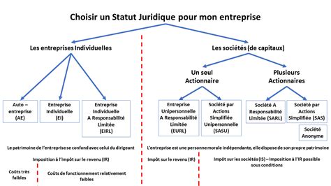 Schéma récapitulatif du statut d'auto-entrepreneur