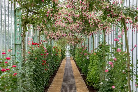 Serres de Froger Fleurs