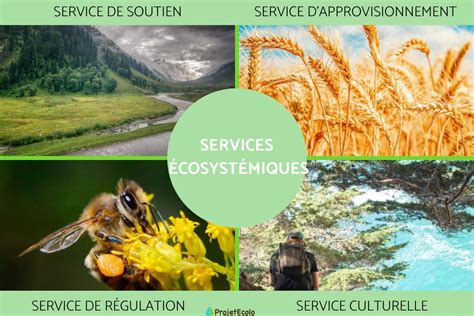 Services écosystémiques