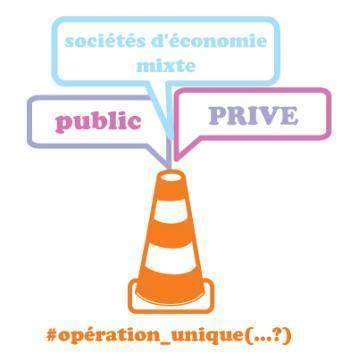 Société d'Économie Mixte Locales