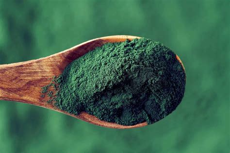 Spiruline