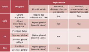 Statut Social Dirigeant Entreprise