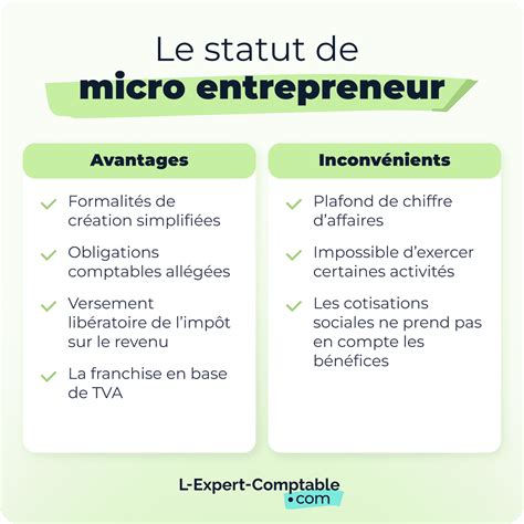 Statut micro-entrepreneur
