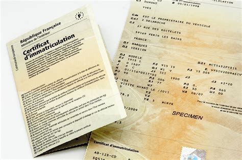 Stellantis Carte Grise