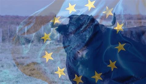 Subventions Européennes