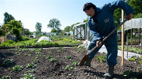 TVA Jardinage