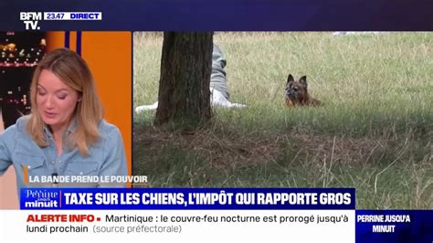 Taxe sur les chiens en Europe