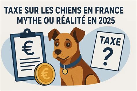 Taxe sur les chiens en France : Un débat récurrent