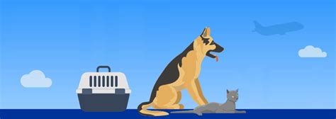 Transport d'animaux de compagnie