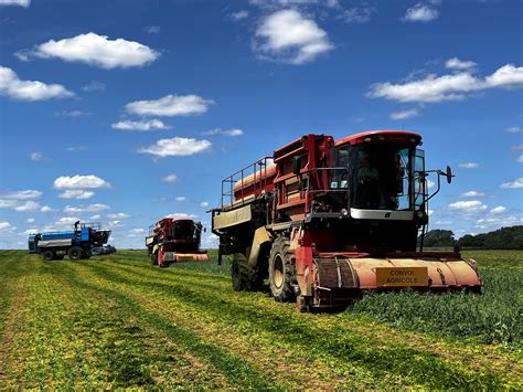 Travaux agricoles