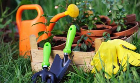 Travaux de jardinage