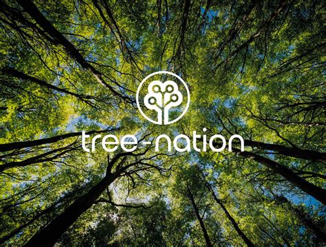 Tree Nation