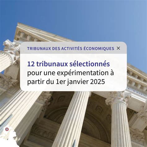 Tribunaux des activités économiques
