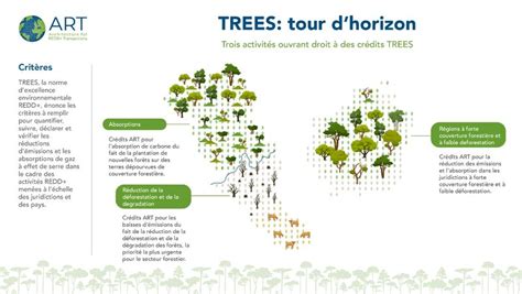 Types d'activités éligibles