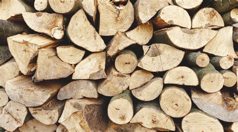 Types de bois de chauffage